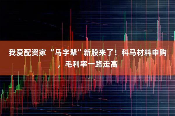 我爱配资家 “马字辈”新股来了！科马材料申购，毛利率一路走高