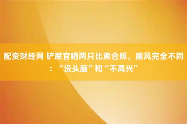 配资财经网 铲屎官晒两只比熊合照，画风完全不同：“没头脑”和“不高兴”