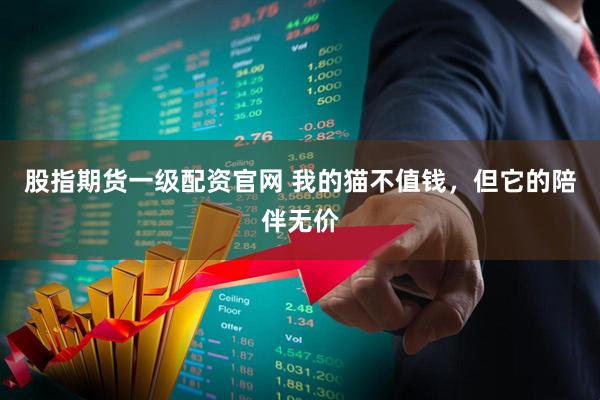 股指期货一级配资官网 我的猫不值钱，但它的陪伴无价