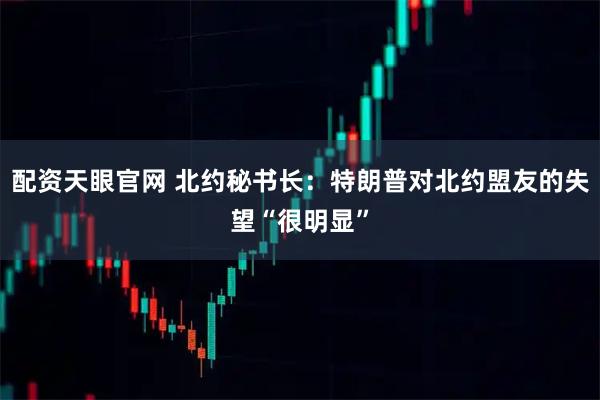 配资天眼官网 北约秘书长：特朗普对北约盟友的失望“很明显”