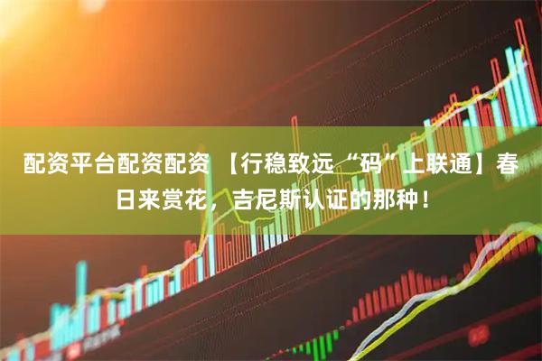 配资平台配资配资 【行稳致远 “码”上联通】春日来赏花，吉尼斯认证的那种！