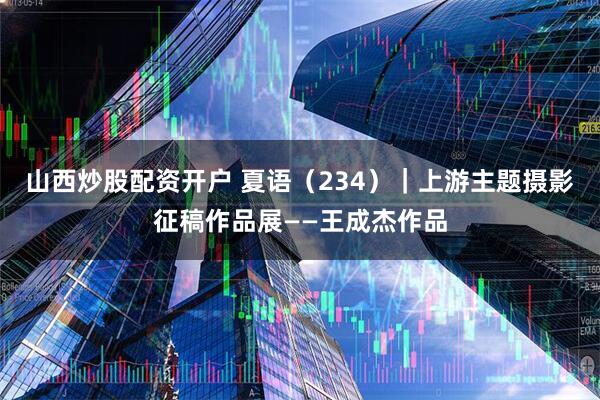 山西炒股配资开户 夏语（234）｜上游主题摄影征稿作品展——王成杰作品
