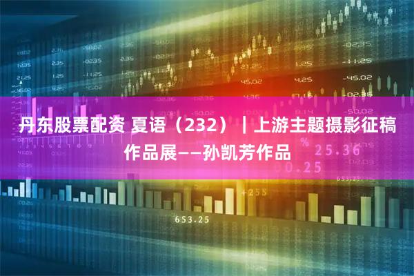 丹东股票配资 夏语（232）｜上游主题摄影征稿作品展——孙凯芳作品